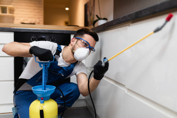 Best Bed Bug Extermination  in Eufaula, AL