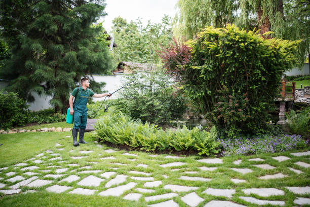 Best Wasp Removal Services  in Eufaula, AL