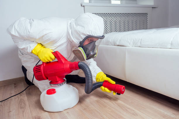 Wasp Removal Services in Eufaula, AL