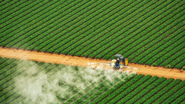 Best Local Pest Control Services  in Eufaula, AL