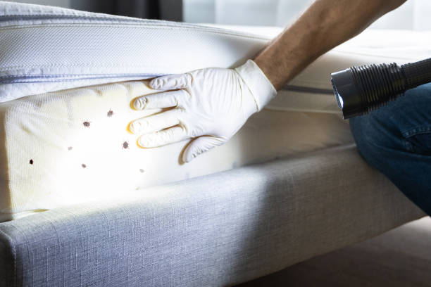 Best Emergency Pest Control  in Eufaula, AL