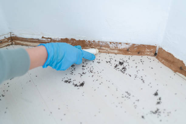 Best Termite Control Services  in Eufaula, AL