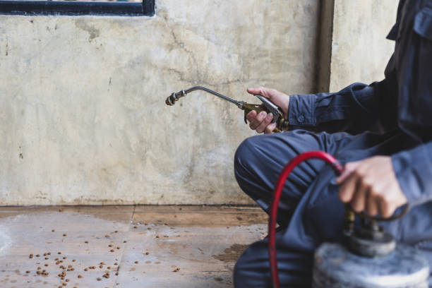 Best Ant Control Services  in Eufaula, AL